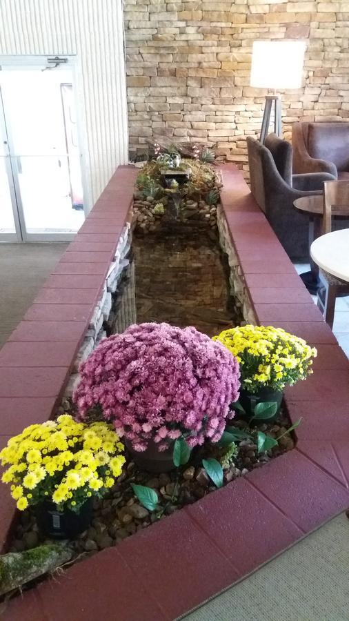 Athens Lodge Bagian luar foto
